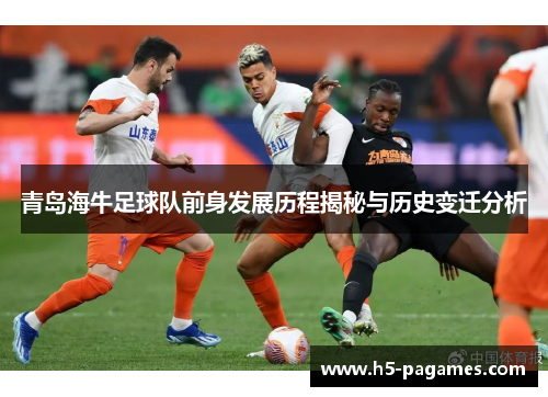 青岛海牛足球队前身发展历程揭秘与历史变迁分析