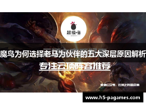 魔鸟为何选择老马为伙伴的五大深层原因解析