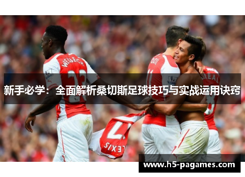 新手必学：全面解析桑切斯足球技巧与实战运用诀窍